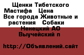 Щенки Тибетского Мастифа › Цена ­ 60 000 - Все города Животные и растения » Собаки   . Ненецкий АО,Выучейский п.